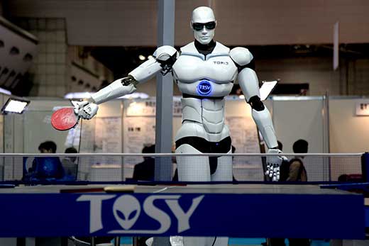 Robotica humanoide