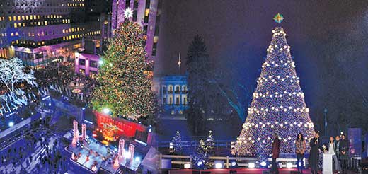 DC NY Navidad