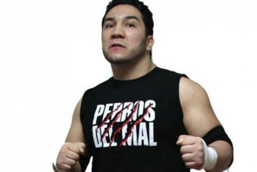 Perro Aguayo