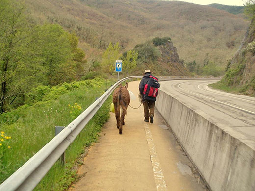 Caminantes