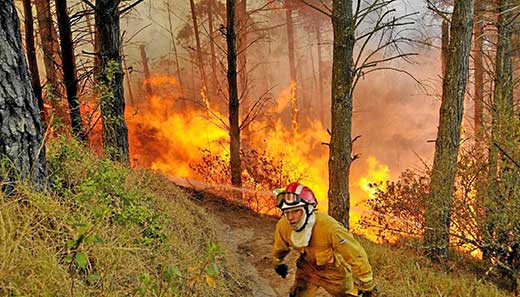 Ecuador incendios forestales