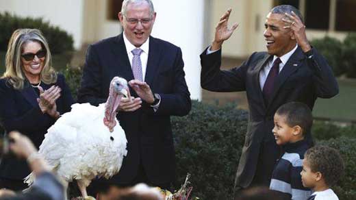 Obama, pavo